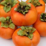 Persimmon