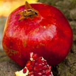 Russian Pomegranate