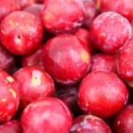 Santa Rosa Plum