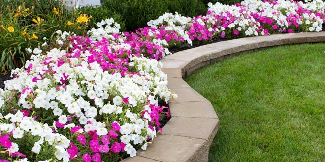 Getting flower beds in shape for spring | State Fair of Texas