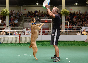 Jump! The Ultimate Dog Show