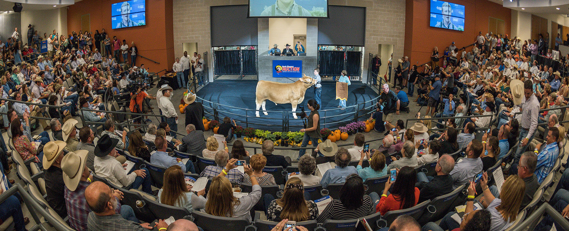 Big Tex Youth Livestock Auction | State Fair of Texas