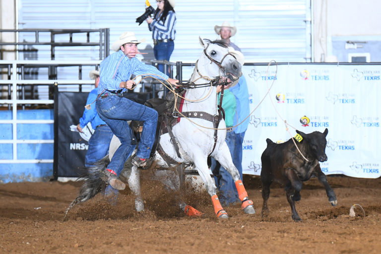 Rodeo State Fair of Texas