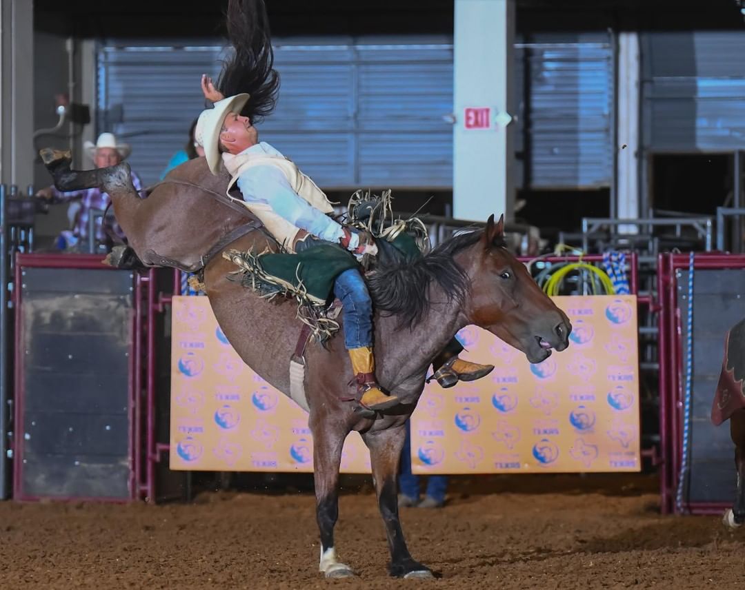 After almost 30 years, the State Fair of Texas Rodeo made its return in 2018 and we’re excited to share it will be back this year! The 2019 Rodeo will be held in the historic Fair Park Coliseum on August 30 and 31, with tickets starting at just $10. Families can enjoy some good ol’ mutton bustin at 6:30 p.m. and a traditional rodeo at 7:30 p.m.  Awarded UPRA “New Rodeo of the Year” in 2018, this old State Fair tradition is an event you don’t want to miss. What better way to kick off the Fair fun?! #BigTex #TexasRodeo #Rodeo