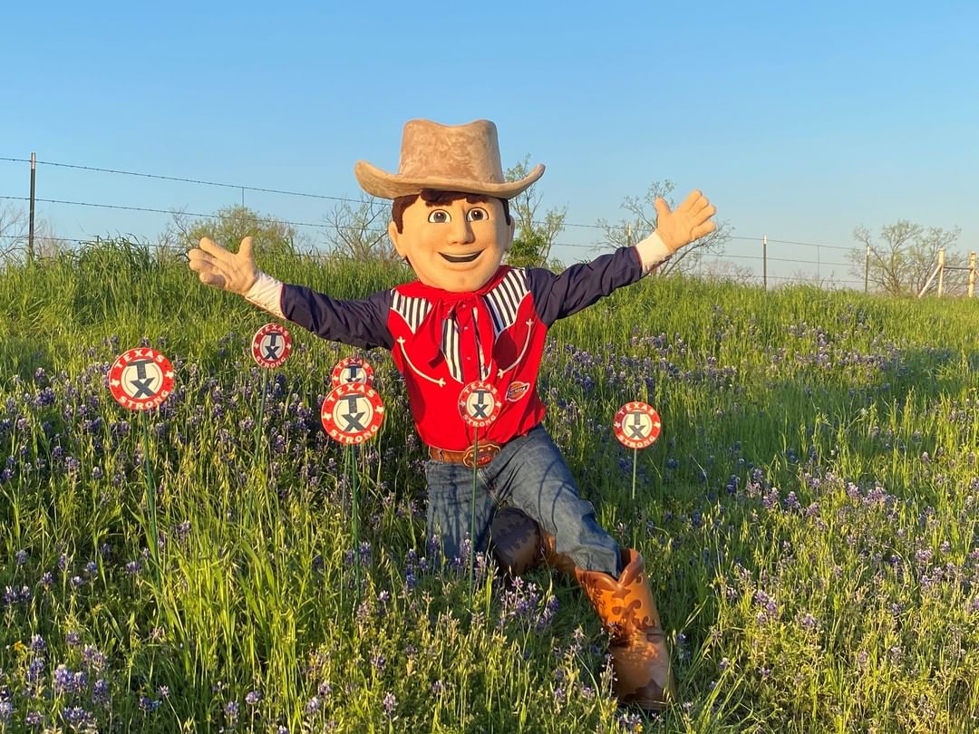 Good morning from Little Big Tex and Texas bluebonnets! Hang in there folks, we got this, we are #TexasStrong! Happy Tuesday from us and Little #BigTex! #TexasTuesday #Bluebonnets