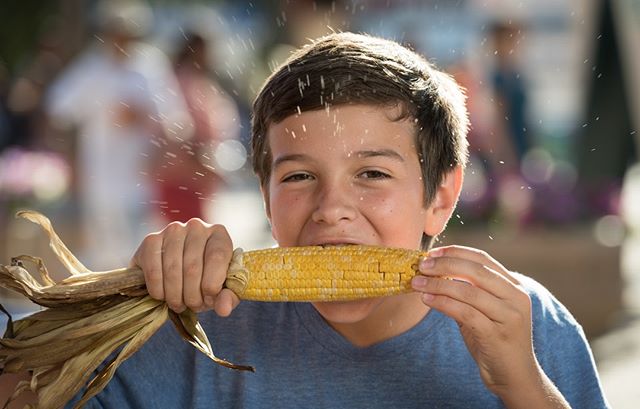 This may be corny, but happy National #CornOnTheCob Day. 🌽🤠This corn from the #StateFairofTX looks like something #BigTex would enjoy, how about you? 😍😋