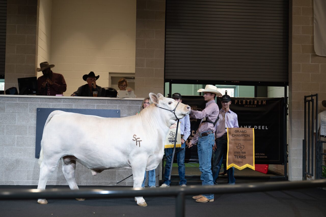 More Than 600 Texas Student Exhibitors Show at Big Tex Youth Livestock