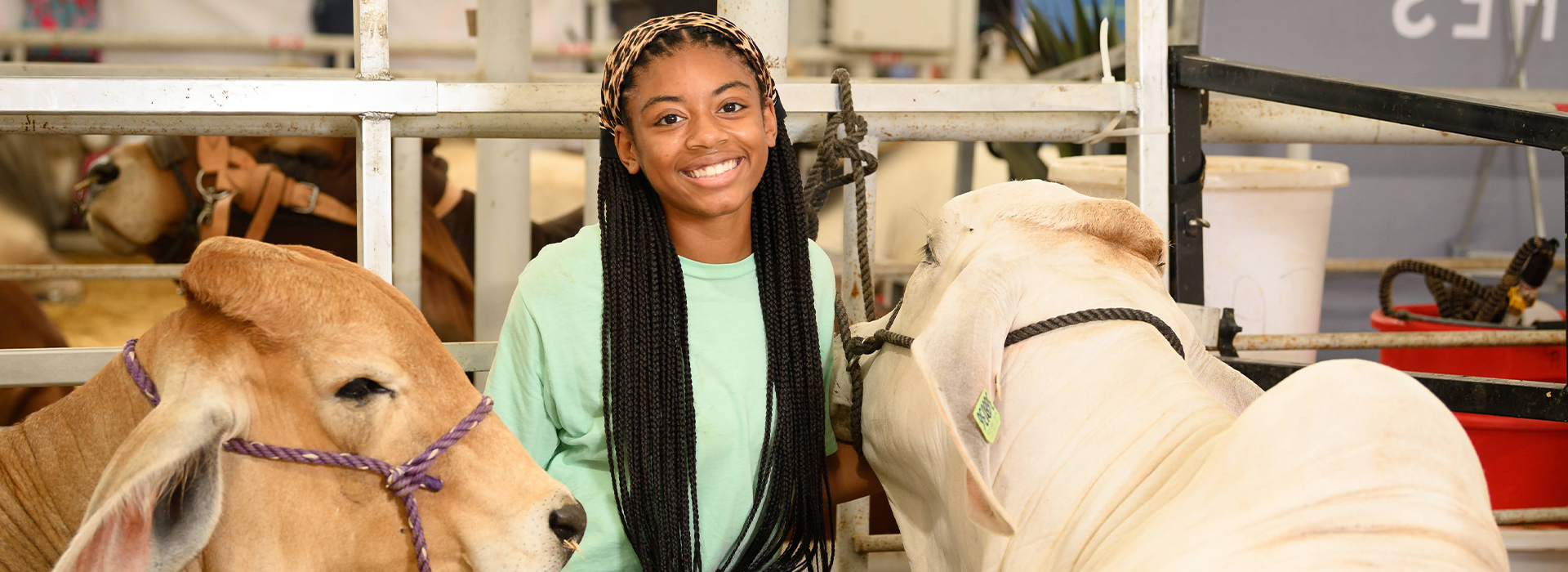 Philanthropy_Fundraising Events -Livestock Barn Hero Banner