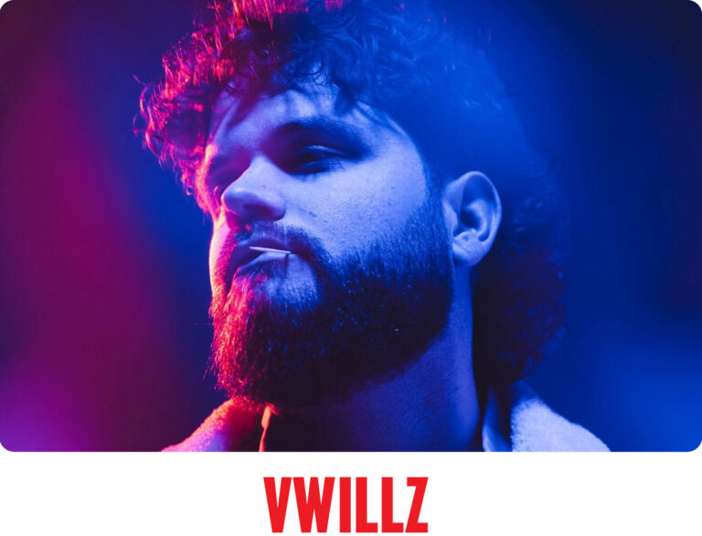 Vwillz